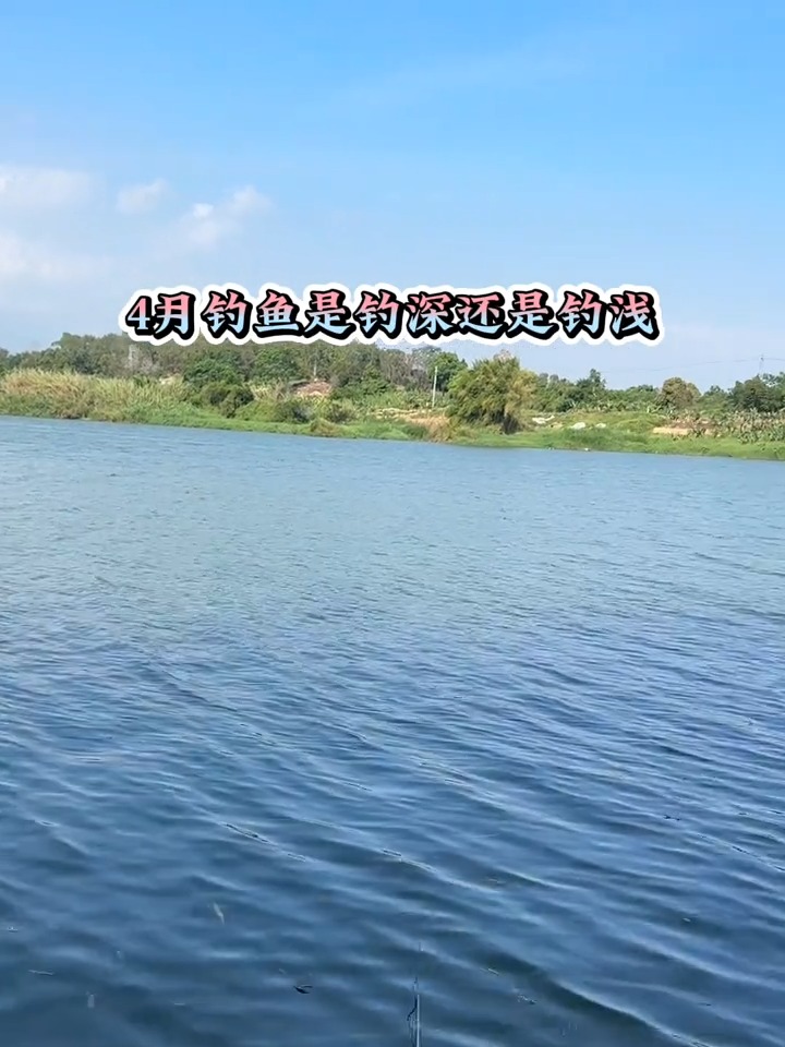 开春钓鱼钓深还是浅